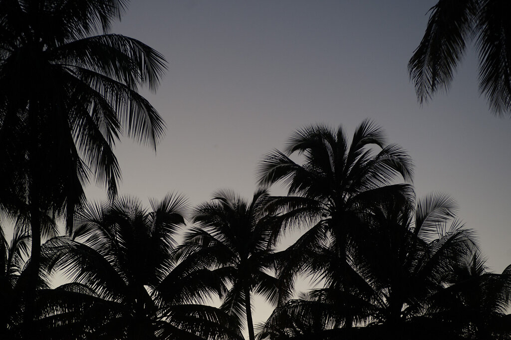 The Lightness of the Dark
