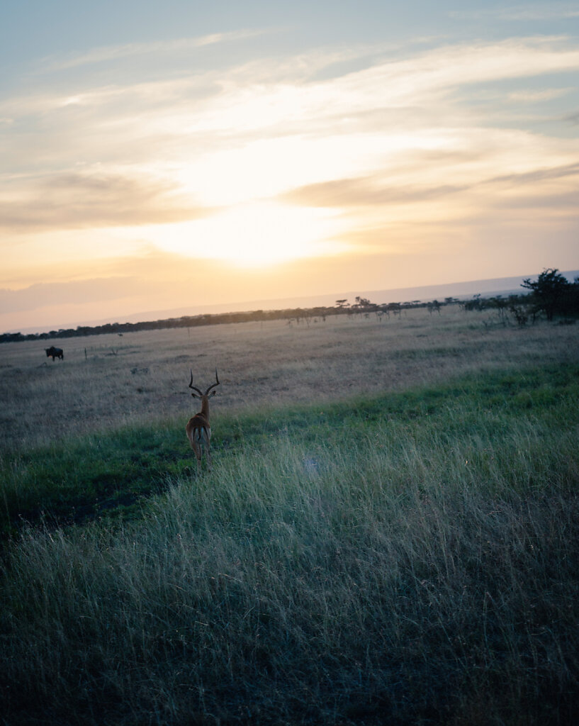 Kenia-9437.jpg