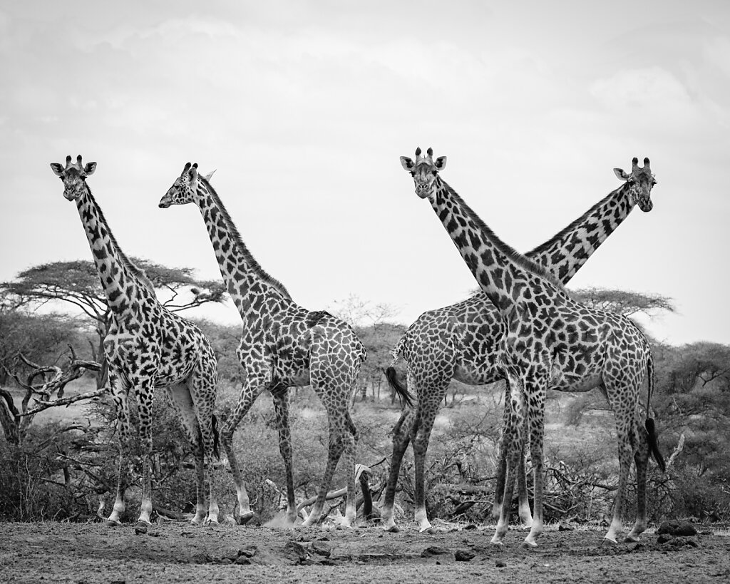 Kenya