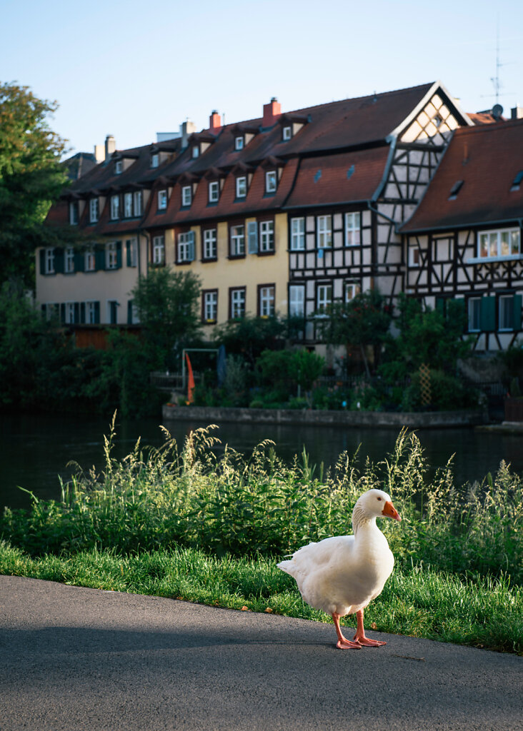 Bamberg-16.jpg