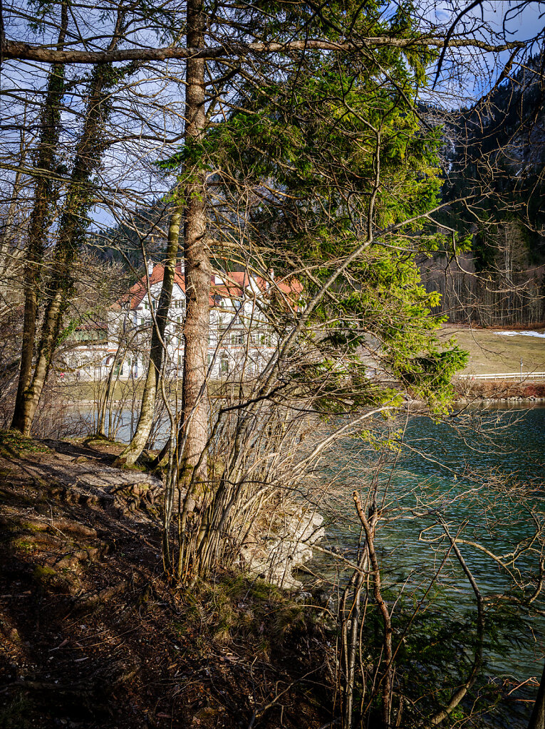 Alpsee-LR-2286.jpg