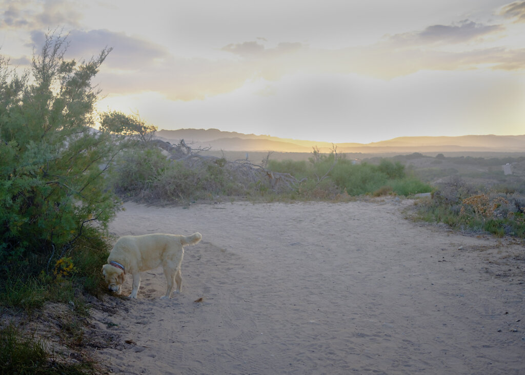 Sardinien-9.jpg