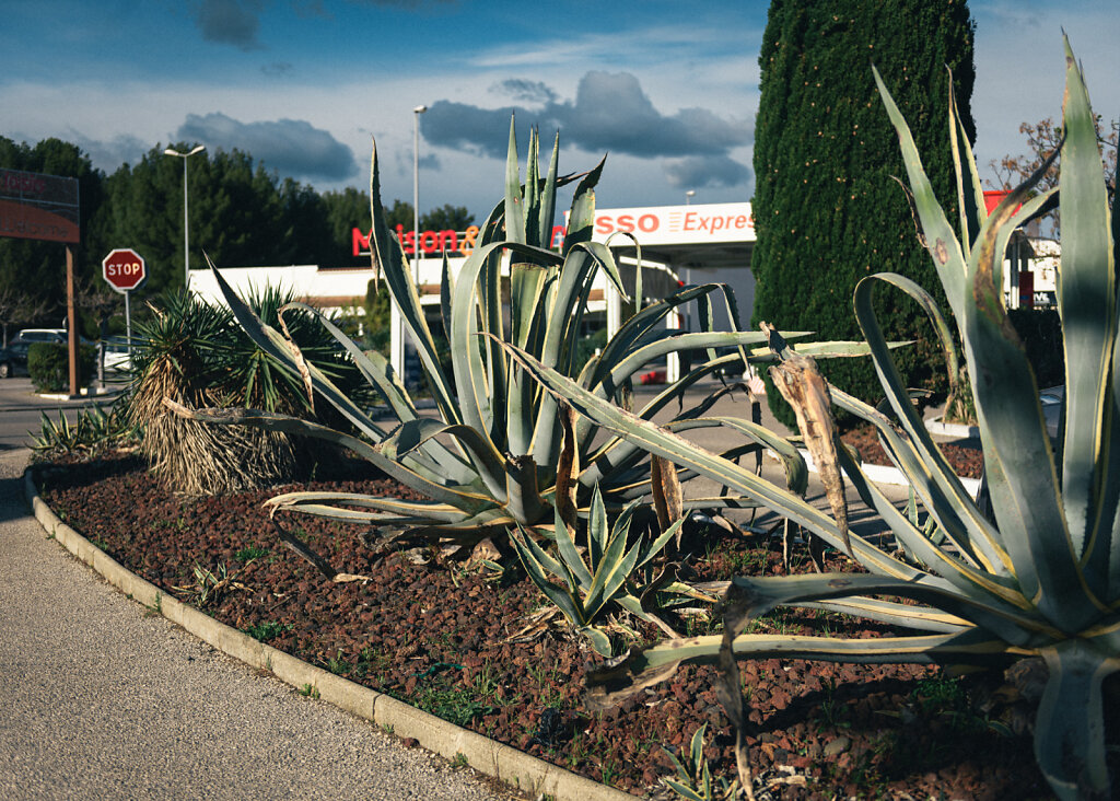 FrenchRiviera-LR-2536.jpg