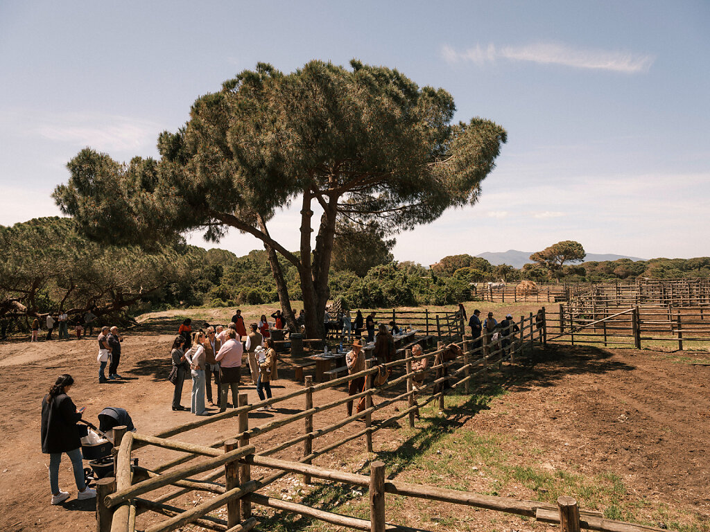 Maremma-LR-4968.jpg