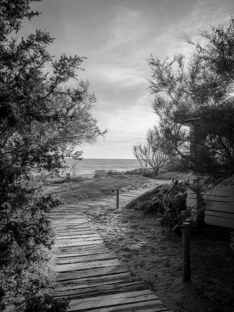 Maremma-LR-5017.jpg
