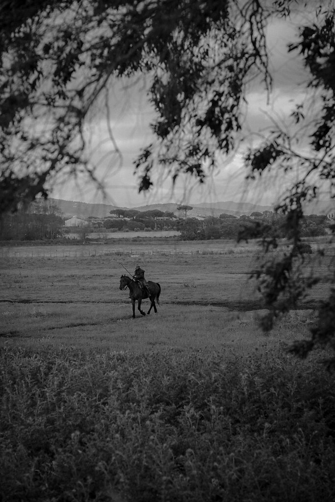 Maremma-LR-5264.jpg