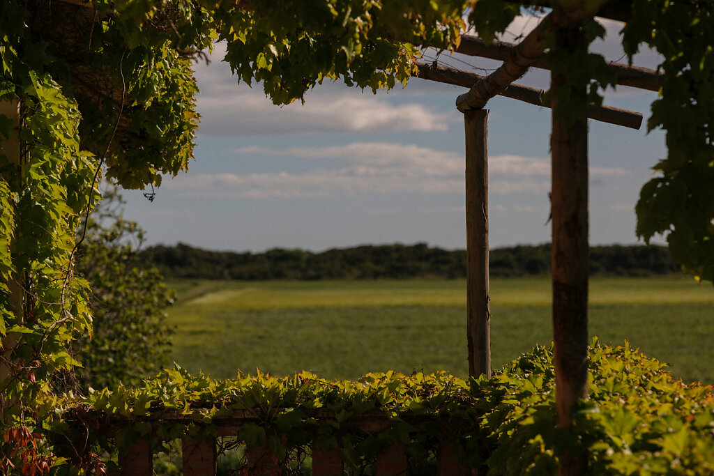 Maremma-LR-5596.jpg