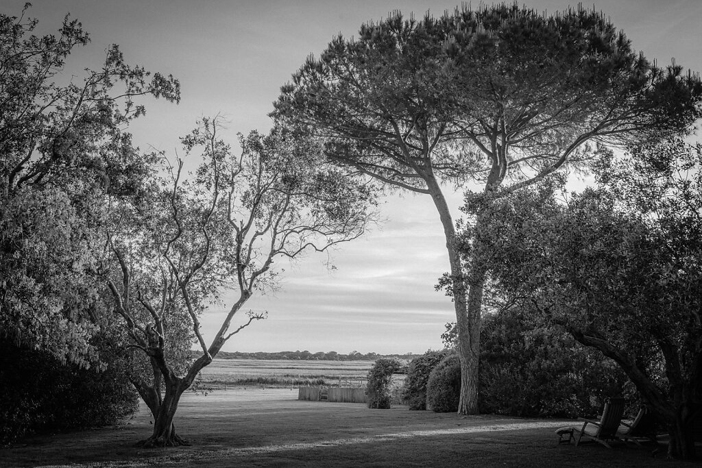 Maremma-LR-6103.jpg