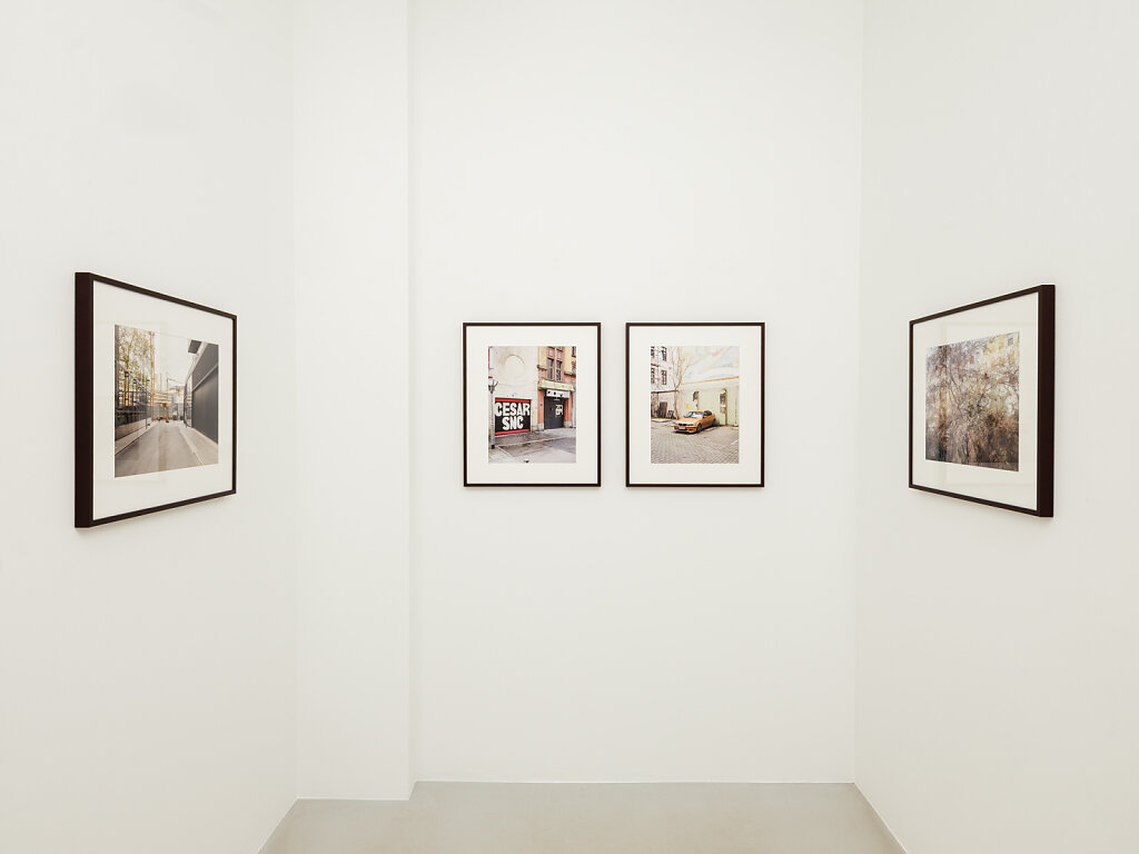 SentimentIndex-Installation-LR-005.jpg