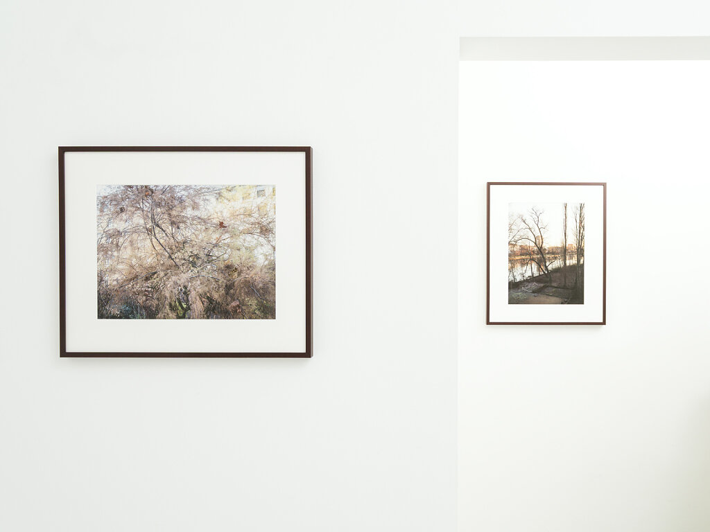 SentimentIndex-Installation-LR-011.jpg