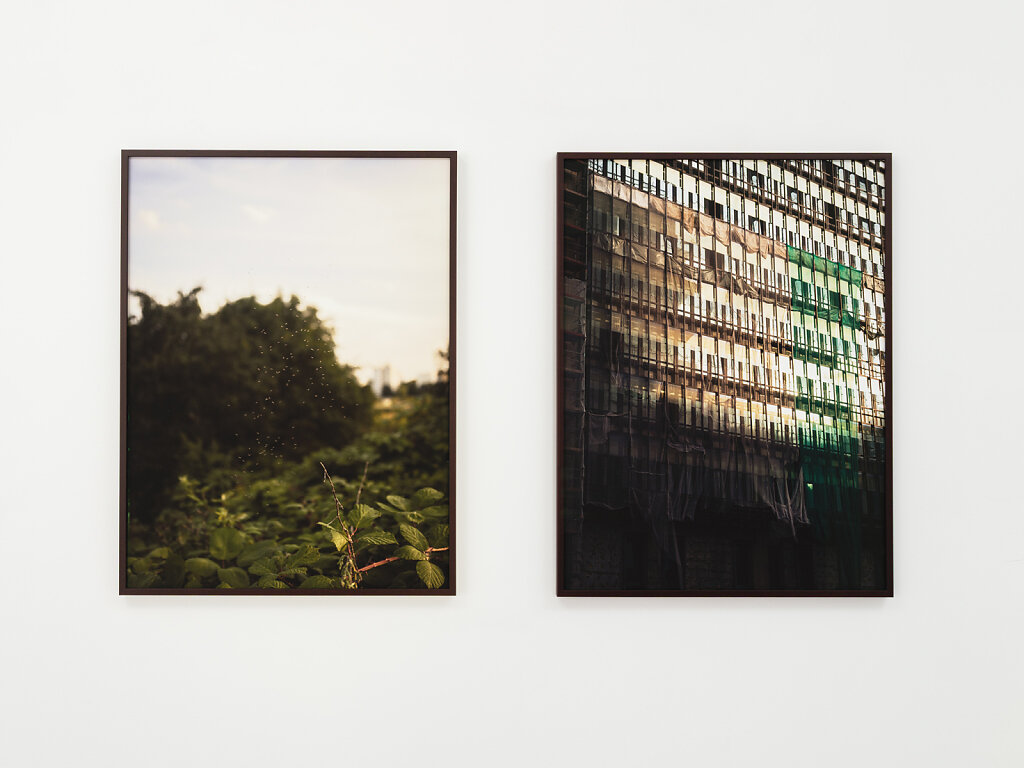 SentimentIndex-Installation-LR-037.jpg